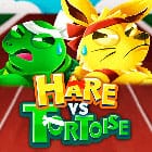 Hare VS Tortoise